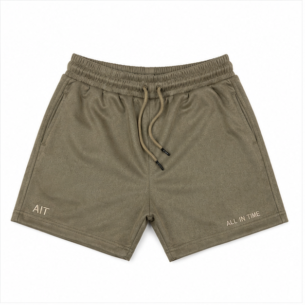 AIT- Suede Shorts