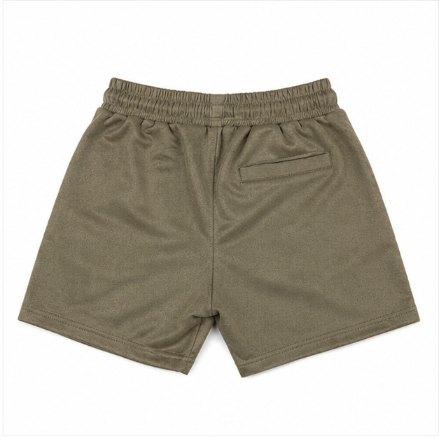 AIT- Suede Shorts